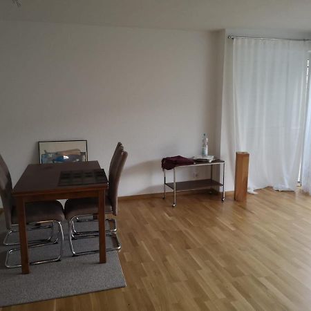 Helene Apartment Bad Sackingen Bagian luar foto
