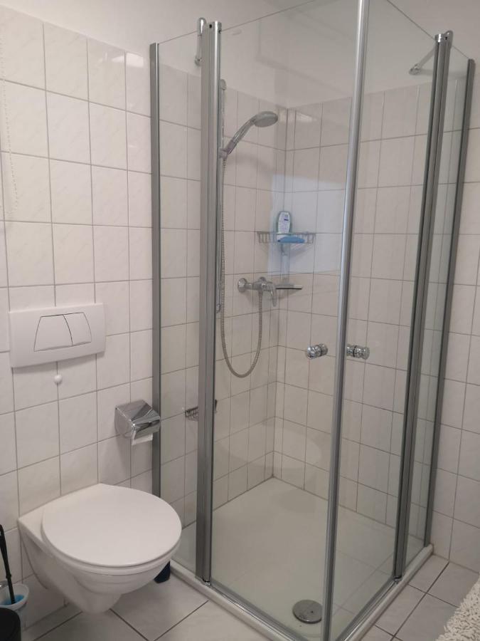 Helene Apartment Bad Sackingen Bagian luar foto